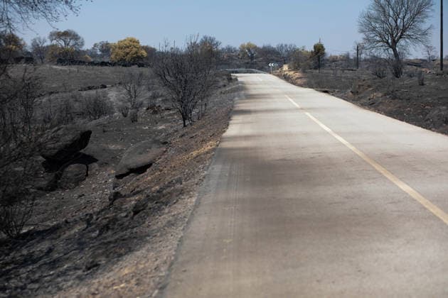 Residents of 12 of the 14 towns evacuated due to the Fermoselle fire have been relocated, and restrictions have been lifted in two municipalities. Land scorched by a wildfire, as of July 31, 2026, in Fornillos de Fermoselle, Zamora, Castile and León, Spain. Castile and León Civil Protection reported this Friday that residents evacuated due to the Fermoselle fire in Zamora from the towns of Pasariegos, Villar del Buey, Dehesa de Pedraza, Cibanal, Formariz, Muga de Sayago, Tudera, Arganín, Badilla, Cozcurrita, Zafara, Palazuelo de Sayago, and Fornillos de Fermoselle, while lockdown measures have been lifted in the municipalities of Fermoselle and Fariza, and the towns of Mámoles and Pinilla de Fermoselle remain evacuated. Thus, only the town Copyright: xPalomaxV.xEscarpax 7697505