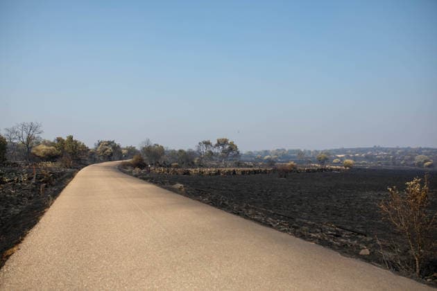 Residents of 12 of the 14 towns evacuated due to the Fermoselle fire have been relocated, and restrictions have been lifted in two municipalities. Land scorched by a wildfire, as of July 31, 2026, between Muga and Formariz, Zamora, Castile and León, Spain. Castile and León Civil Protection reported on Friday that residents evacuated due to the Fermoselle fire in Zamora—from the towns of Pasariegos, Villar del Buey, Dehesa de Pedraza, Cibanal, Formariz, Muga de Sayago, Tudera, Arganín, Badilla, Cozcurrita, Zafara, Palazuelo de Sayago, and Fornillos de Fermoselle, while lockdown measures have been lifted in the municipalities of Fermoselle and Fariza, and the towns of Mámoles and Pinilla de Fermoselle remain evacuated. As a result, only the Copyright: xPalomaxV.xEscarpax 7697507