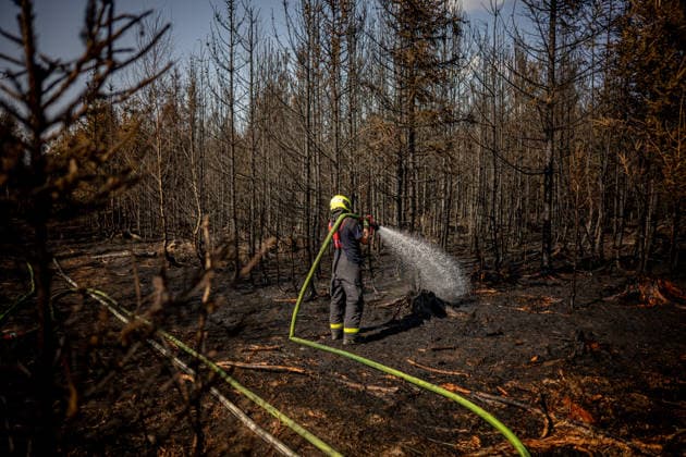 Forest fire extinguishing in the Czech Republic VETRKOVICE, CZECH REPUBLIC - JULY 31: Czech firefighters extinguish a forest and field fire covering an area of ??27 hectares in Vetrkovice (Moravian-Silesian Region), Czech Republic on July 31, 2026. According to a fire department spokesperson, 13 firefighting units are responding. Firefighters are also continuously monitoring the situation using drones, which provide an overview of the fire s development and help manage firefighting efforts. Work will continue into the next night. Lukas Kabon Anadolu Vetrkovice Czech Republic. Editorial use only. Please get in touch for any other usage.  Copyright: x2026xAnadoluxLukasxKabonx