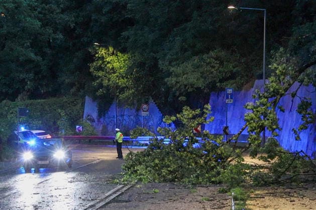 Unwetter in der Landeshauptstadt, Ein Baum liegt nach einem Unwetter am Abend auf einer Straße in Stuttgart. Stuttgart Baden-Württemberg Deutschland Stuttgart