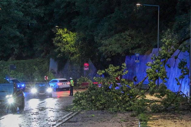 Unwetter in der Landeshauptstadt, Ein Baum liegt nach einem Unwetter am Abend auf einer Straße in Stuttgart. Stuttgart Baden-Württemberg Deutschland Stuttgart