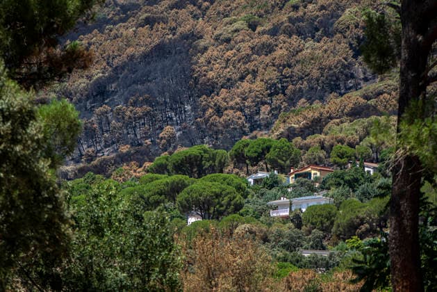 The Burgohondo fire in Ávila is progressing as expected, and 50 firefighters from Catar have been deployed. View of the burned area in the Tiétar Valley, as of August 1, 2026, in Ávila, Castile and León, Spain. The regional delegate of the Regional Government in Ávila, José Francisco Hernández Herrero, has stated that the Burgohondo wildfire is progressing as expected and has expressed confidence that it will be fully contained in the coming hours or days, although for the time being it remains at Level 2 on the Potential Severity Index (IGR 2) August 2, 2026 FIRE NATURAL DISASTER BURNT LANDSCAPE CHARRED SMOKE GARDEN TIÉTAR VALLEY LA ADRADA CASAVIEJA PIEDRALAVES Ávila, Castile and León Ávila, Castile and León Spain Copyright: xGabrixSolerax 7698497