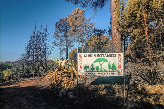 The fire in Burgohondo, Ávila, is progressing as expected, and 50 firefighters from Catar Interior at the La Adrada Botanical Garden have been deployed, as of August 1, 2026, in Ávila, Castile and León, Spain. The regional delegate of the Regional Government in Ávila, José Francisco Hernández Herrero, has stated that the Burgohondo wildfire is progressing as expected and has expressed confidence that it will be fully contained in the coming hours or days, although for the time being it remains at Level 2 on the Potential Severity Index (IGR) 2 AUGUST 1, 2026 FIRE NATURAL DISASTER BURNT LANDSCAPE CHARRED SMOKE GARDEN TIÉTAR VALLEY LA ADRADA CASAVIEJA PIEDRALAVES SCULPTURE La Adrada, Ávila, Castile and León La Adrada, Ávila, Castile and León Copyright: xGabrixSolerax 7698522