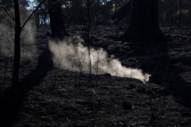 The Burgohondo fire in Ávila is progressing as expected, and 50 firefighters from Catar have been deployed to the burned area at the Pinara Dam in La Adrada, as of August 1, 2026, in Ávila, Castile and León, Spain. The regional delegate of the Regional Government in Ávila, José Francisco Hernández Herrero, has stated that the Burgohondo wildfire is progressing as expected and has expressed confidence that it can be brought under complete control in the coming hours or days, although for the time being it remains at Level 2 on the Potential Severity Index (IGR) 2 AUGUST 2026 FIRE NATURAL FIRE BURNT LANDSCAPE CHARRED SMOKE GARDEN TIÉTAR VALLEY LA ADRADA CASAVIEJA PIEDRALAVES SCULPTURE DONKEYS La Adrada, Ávila, Castile and León La Adrada, Ávi Copyright: xGabrixSolerax 7698526