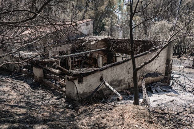 The Burgohondo, Ávila, wildfire is progressing as expected, and 50 firefighters from Catar Vista have been deployed one week after the fire broke out, on August 1, 2026, in La Adrada, Castile and León, Spain. The regional delegate of the Regional Government in Ávila, José Francisco Hernández Herrero, has stated that the Burgohondo wildfire is progressing as expected and has expressed confidence that it can be brought under complete control in the coming hours or days, although for the time being it remains at Level 2 on the Potential Severity Index (IGR) 2 AUGUST 2026 FIRE NATURAL DISASTER BURNT LANDSCAPE CHARRED SMOKE GARDEN TIÉTAR VALLEY LA ADRADA CASAVIEJA PIEDRALAVES SCULPTURE DONKEYS CAR César Vallejo Rodrí La Adrada, Ávila, Castile a Copyright: xCÃ sarxVallejoxRodriguezx 7698609