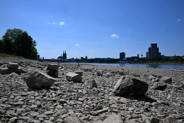 02.08.2026, xophax, öffentliches Leben, Köln, Rheinufer, Kölner Dom. Niedrigwasser. Rhein von Köln Mühlheim Rheinpark. Rheinpegel in Köln erreicht Tiefstand. Köln
