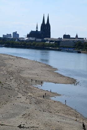 02.08.2026, xophax, öffentliches Leben, Köln, Rheinufer, Kölner Dom. Niedrigwasser. Rhein von Köln Mühlheim Rheinpark. Rheinpegel in Köln erreicht Tiefstand. Köln