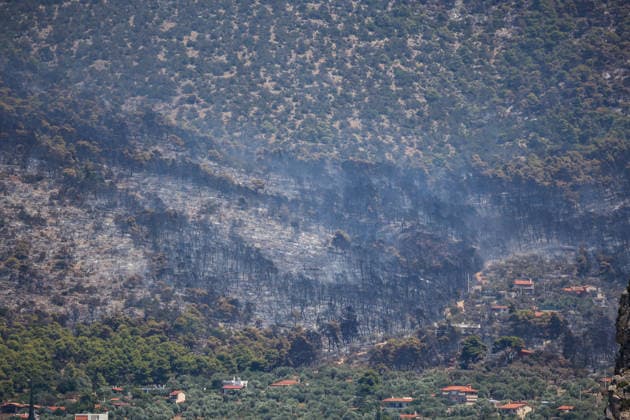 Wildfire continues for fourth day in Psatha, Greece PSATHA, GREECE - AUGUST 04: A view of the burned forest as a wildfire burns for the fourth consecutive day in Psatha, Greece, on August 04, 2026. Thousands of square meters of forest, along with several houses, have been destroyed. Although the fire fronts have calmed after four days of intense burning, authorities remain on alert. Aris Oikonomou Anadolu Psatha Greece. Editorial use only. Please get in touch for any other usage.  Copyright: x2026xAnadoluxArisxOikonomoux