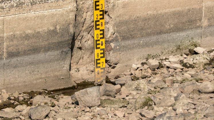Die Pegel sinken weiter. Anhaltende Trockenheit verschärft das Niedrigwasser an den deutschen Flüssen weiter. Betroffen ist auch die Elbe bei Dresden. In Dresden zeigte die Pegelanzeige am Dienstagnachmittag nur noch 40 cm an. Die Dampfschifffahrt steht fast komplett still und sitzt auf dem Trockenen. Einheimische gehen mitten in der Elbe, auf kleinen Inseln, baden. Dort, wo eigentlich die Elbe entlang fließt, ist mittlerweile viel Wildwuchs entstanden. Und auch aus Tschechien kommt kaum Wasser nach. Die Situation wird mit Tag zu Tag immer dramatischer. Dresden Sachsen Deutschland