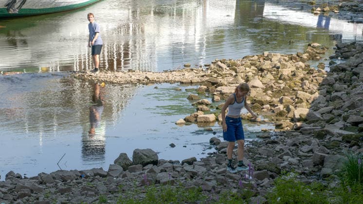 Die Pegel sinken weiter. Anhaltende Trockenheit verschärft das Niedrigwasser an den deutschen Flüssen weiter. Betroffen ist auch die Elbe bei Dresden. In Dresden zeigte die Pegelanzeige am Dienstagnachmittag nur noch 40 cm an. Die Dampfschifffahrt steht fast komplett still und sitzt auf dem Trockenen. Einheimische gehen mitten in der Elbe, auf kleinen Inseln, baden. Dort, wo eigentlich die Elbe entlang fließt, ist mittlerweile viel Wildwuchs entstanden. Und auch aus Tschechien kommt kaum Wasser nach. Die Situation wird mit Tag zu Tag immer dramatischer. Dresden Sachsen Deutschland