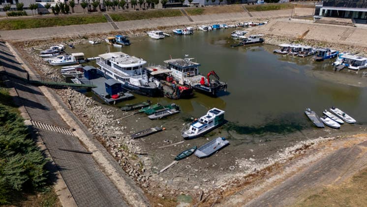 260804_PXL_Danube low water level Low water level after prolonged heatwave of the Danube near Vukovar, Coratia, on on July 04. 2026.  DavorxJavorovic PIXSELL