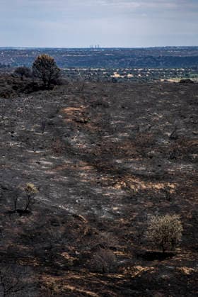 Leo Messi Donates 80,000 Euros for the Reconstruction of Madrid’s Sierra Oeste After the Wildfire View after the wildfire, on August 4, 2026, in Villa del Prado, Madrid, Spain. The president of the Community of Madrid, Isabel Díaz Ayuso, announced on Tuesday that soccer player Leo Messi has donated 80,000 euros for the reconstruction of the region’s Sierra Oeste following the wildfire that has scorched nearly 30,000 hectares. The Community of Madrid has launched a website to channel donations from citizens and companies to support those affected by the fires that impacted 17 municipalities in the Sierra Oeste August 4, 2026 FIRE SCORCHED LAND DONATION MESSI NATURE LANDSCAPE SIERRA OESTE MADRID FIRE MADRID HECTAREBURNT TREES BURNT LAND VILL Copyright: xGabrixSolerax 7701747