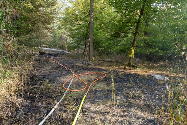 Waldbrand durch Flugzeug gemeldet 200 Quadratmeter Wald brennen bei Gernsheim Am 04.08.2026 brannte am Dienstagnachmittag ein rund 200 Quadratmeter großes Waldstück in Gernsheim-Allmendfeld. Gemeldet wurde das Feuer über die Deutsche Flugsicherung, nachdem ein Luftfahrzeug die Flammen entdeckt hatte. Eine gut sichtbare Rauchsäule machte den Brand bereits auf der Anfahrt der Einsatzkräfte schnell auffindbar. Sofort eingeleitete Löschmaßnahmen verhinderten eine weitere Ausbreitung des Feuers. Ein Polizeihubschrauber unterstützte die Einsatzkräfte mit einer Wärmebildkamera aus der Luft, die Brandursache war zunächst unklar. Gernsheim Allmendfeld Hessen Deutschland