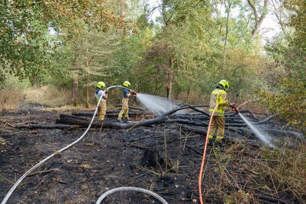 Waldbrand durch Flugzeug gemeldet 200 Quadratmeter Wald brennen bei Gernsheim Am 04.08.2026 brannte am Dienstagnachmittag ein rund 200 Quadratmeter großes Waldstück in Gernsheim-Allmendfeld. Gemeldet wurde das Feuer über die Deutsche Flugsicherung, nachdem ein Luftfahrzeug die Flammen entdeckt hatte. Eine gut sichtbare Rauchsäule machte den Brand bereits auf der Anfahrt der Einsatzkräfte schnell auffindbar. Sofort eingeleitete Löschmaßnahmen verhinderten eine weitere Ausbreitung des Feuers. Ein Polizeihubschrauber unterstützte die Einsatzkräfte mit einer Wärmebildkamera aus der Luft, die Brandursache war zunächst unklar. Gernsheim Allmendfeld Hessen Deutschland