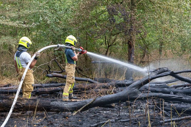 Waldbrand durch Flugzeug gemeldet 200 Quadratmeter Wald brennen bei Gernsheim Am 04.08.2026 brannte am Dienstagnachmittag ein rund 200 Quadratmeter großes Waldstück in Gernsheim-Allmendfeld. Gemeldet wurde das Feuer über die Deutsche Flugsicherung, nachdem ein Luftfahrzeug die Flammen entdeckt hatte. Eine gut sichtbare Rauchsäule machte den Brand bereits auf der Anfahrt der Einsatzkräfte schnell auffindbar. Sofort eingeleitete Löschmaßnahmen verhinderten eine weitere Ausbreitung des Feuers. Ein Polizeihubschrauber unterstützte die Einsatzkräfte mit einer Wärmebildkamera aus der Luft, die Brandursache war zunächst unklar. Gernsheim Allmendfeld Hessen Deutschland