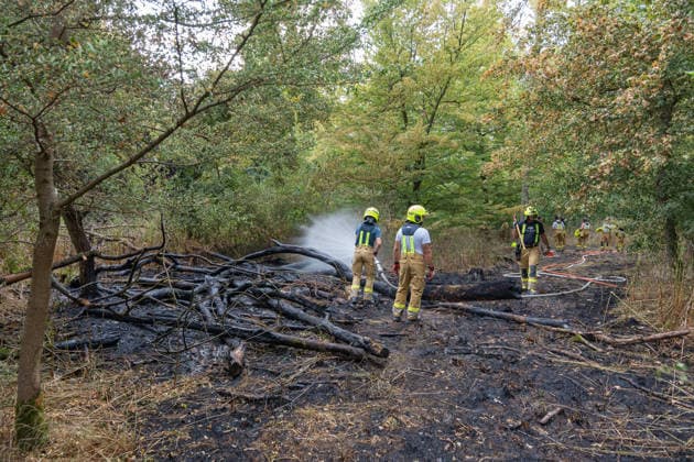 Waldbrand durch Flugzeug gemeldet 200 Quadratmeter Wald brennen bei Gernsheim Am 04.08.2026 brannte am Dienstagnachmittag ein rund 200 Quadratmeter großes Waldstück in Gernsheim-Allmendfeld. Gemeldet wurde das Feuer über die Deutsche Flugsicherung, nachdem ein Luftfahrzeug die Flammen entdeckt hatte. Eine gut sichtbare Rauchsäule machte den Brand bereits auf der Anfahrt der Einsatzkräfte schnell auffindbar. Sofort eingeleitete Löschmaßnahmen verhinderten eine weitere Ausbreitung des Feuers. Ein Polizeihubschrauber unterstützte die Einsatzkräfte mit einer Wärmebildkamera aus der Luft, die Brandursache war zunächst unklar. Gernsheim Allmendfeld Hessen Deutschland