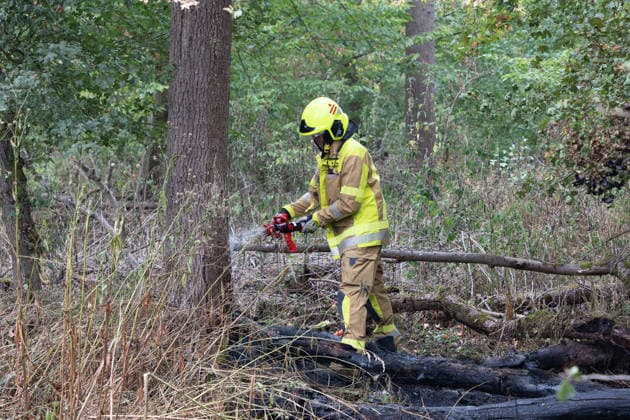 Waldbrand durch Flugzeug gemeldet 200 Quadratmeter Wald brennen bei Gernsheim Am 04.08.2026 brannte am Dienstagnachmittag ein rund 200 Quadratmeter großes Waldstück in Gernsheim-Allmendfeld. Gemeldet wurde das Feuer über die Deutsche Flugsicherung, nachdem ein Luftfahrzeug die Flammen entdeckt hatte. Eine gut sichtbare Rauchsäule machte den Brand bereits auf der Anfahrt der Einsatzkräfte schnell auffindbar. Sofort eingeleitete Löschmaßnahmen verhinderten eine weitere Ausbreitung des Feuers. Ein Polizeihubschrauber unterstützte die Einsatzkräfte mit einer Wärmebildkamera aus der Luft, die Brandursache war zunächst unklar. Gernsheim Allmendfeld Hessen Deutschland