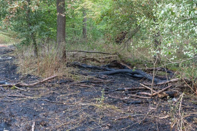 Waldbrand durch Flugzeug gemeldet 200 Quadratmeter Wald brennen bei Gernsheim Am 04.08.2026 brannte am Dienstagnachmittag ein rund 200 Quadratmeter großes Waldstück in Gernsheim-Allmendfeld. Gemeldet wurde das Feuer über die Deutsche Flugsicherung, nachdem ein Luftfahrzeug die Flammen entdeckt hatte. Eine gut sichtbare Rauchsäule machte den Brand bereits auf der Anfahrt der Einsatzkräfte schnell auffindbar. Sofort eingeleitete Löschmaßnahmen verhinderten eine weitere Ausbreitung des Feuers. Ein Polizeihubschrauber unterstützte die Einsatzkräfte mit einer Wärmebildkamera aus der Luft, die Brandursache war zunächst unklar. Gernsheim Allmendfeld Hessen Deutschland