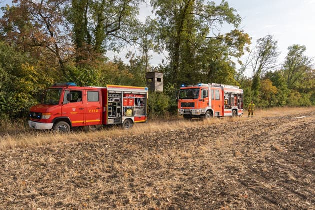 Waldbrand durch Flugzeug gemeldet 200 Quadratmeter Wald brennen bei Gernsheim Am 04.08.2026 brannte am Dienstagnachmittag ein rund 200 Quadratmeter großes Waldstück in Gernsheim-Allmendfeld. Gemeldet wurde das Feuer über die Deutsche Flugsicherung, nachdem ein Luftfahrzeug die Flammen entdeckt hatte. Eine gut sichtbare Rauchsäule machte den Brand bereits auf der Anfahrt der Einsatzkräfte schnell auffindbar. Sofort eingeleitete Löschmaßnahmen verhinderten eine weitere Ausbreitung des Feuers. Ein Polizeihubschrauber unterstützte die Einsatzkräfte mit einer Wärmebildkamera aus der Luft, die Brandursache war zunächst unklar. Gernsheim Allmendfeld Hessen Deutschland