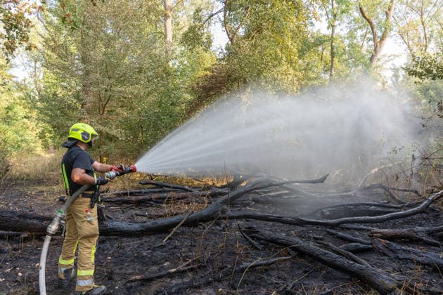 Waldbrand durch Flugzeug gemeldet 200 Quadratmeter Wald brennen bei Gernsheim Am 04.08.2026 brannte am Dienstagnachmittag ein rund 200 Quadratmeter großes Waldstück in Gernsheim-Allmendfeld. Gemeldet wurde das Feuer über die Deutsche Flugsicherung, nachdem ein Luftfahrzeug die Flammen entdeckt hatte. Eine gut sichtbare Rauchsäule machte den Brand bereits auf der Anfahrt der Einsatzkräfte schnell auffindbar. Sofort eingeleitete Löschmaßnahmen verhinderten eine weitere Ausbreitung des Feuers. Ein Polizeihubschrauber unterstützte die Einsatzkräfte mit einer Wärmebildkamera aus der Luft, die Brandursache war zunächst unklar. Gernsheim Allmendfeld Hessen Deutschland