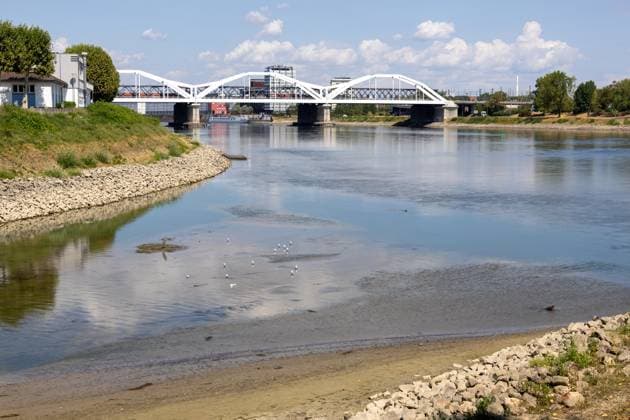 Extremes Niedrigwasser am Rhein in Mannheim und Ludwigshafen. Hier lag der Pegelstand zum Zeitpunkt der Aufnahme bei 85 cm. Das Bild wurde auf der Parkinsel Ludwigshafen aufgenommen Copyright: xUdoxHerrmannx