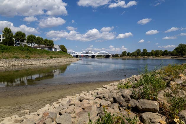 Extremes Niedrigwasser am Rhein in Mannheim und Ludwigshafen. Hier lag der Pegelstand zum Zeitpunkt der Aufnahme bei 85 cm. Das Bild wurde auf der Parkinsel Ludwigshafen aufgenommen Copyright: xUdoxHerrmannx