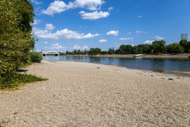 Extremes Niedrigwasser am Rhein in Mannheim und Ludwigshafen. Hier lag der Pegelstand zum Zeitpunkt der Aufnahme bei 85 cm. Das Bild wurde auf der Parkinsel Ludwigshafen aufgenommen Copyright: xUdoxHerrmannx