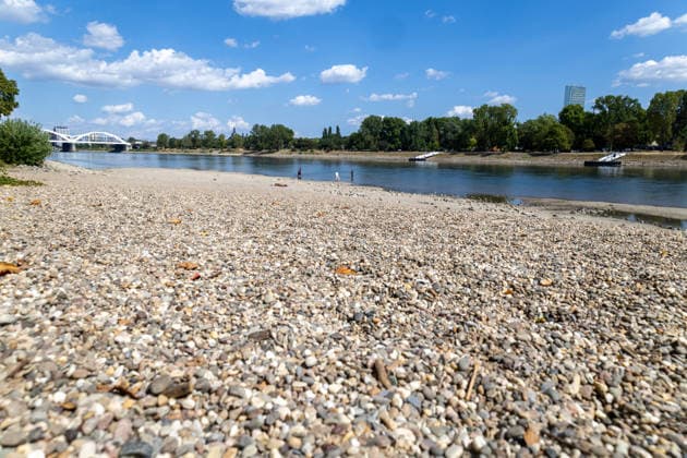 Extremes Niedrigwasser am Rhein in Mannheim und Ludwigshafen. Hier lag der Pegelstand zum Zeitpunkt der Aufnahme bei 85 cm. Das Bild wurde auf der Parkinsel Ludwigshafen aufgenommen Copyright: xUdoxHerrmannx