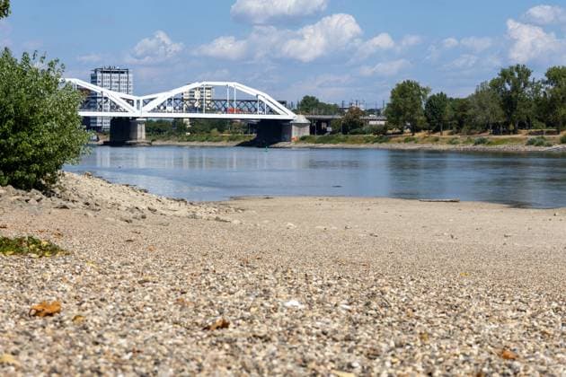 Extremes Niedrigwasser am Rhein in Mannheim und Ludwigshafen. Hier lag der Pegelstand zum Zeitpunkt der Aufnahme bei 85 cm. Das Bild wurde auf der Parkinsel Ludwigshafen aufgenommen Copyright: xUdoxHerrmannx