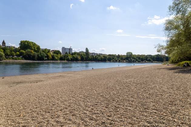Extremes Niedrigwasser am Rhein in Mannheim und Ludwigshafen. Hier lag der Pegelstand zum Zeitpunkt der Aufnahme bei 85 cm. Das Bild wurde auf der Parkinsel Ludwigshafen aufgenommen Copyright: xUdoxHerrmannx