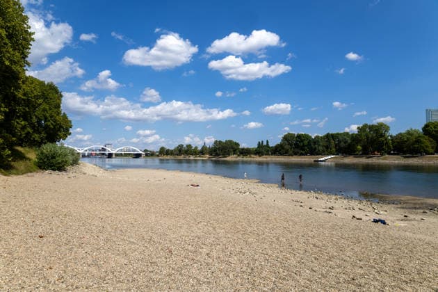 Extremes Niedrigwasser am Rhein in Mannheim und Ludwigshafen. Hier lag der Pegelstand zum Zeitpunkt der Aufnahme bei 85 cm. Das Bild wurde auf der Parkinsel Ludwigshafen aufgenommen Copyright: xUdoxHerrmannx