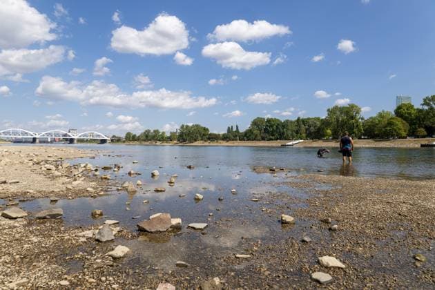 Extremes Niedrigwasser am Rhein in Mannheim und Ludwigshafen. Hier lag der Pegelstand zum Zeitpunkt der Aufnahme bei 85 cm. Das Bild wurde auf der Parkinsel Ludwigshafen aufgenommen Copyright: xUdoxHerrmannx