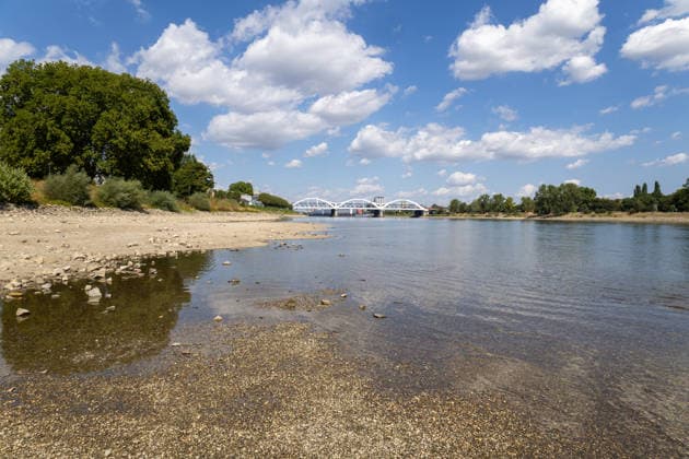 Extremes Niedrigwasser am Rhein in Mannheim und Ludwigshafen. Hier lag der Pegelstand zum Zeitpunkt der Aufnahme bei 85 cm. Das Bild wurde auf der Parkinsel Ludwigshafen aufgenommen Copyright: xUdoxHerrmannx