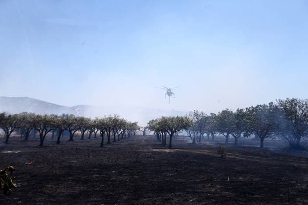 August 5, 2026, Koropi, Greece: Firefighters battle a wildfire in the Koropi area, southeast of Athens, as helicopters carry out repeated water drops to contain the flames. Ground crews worked alongside aerial firefighting units to prevent the fire from spreading amid dry conditions and strong winds. Koropi Greece  - ZUMAv62_ 20260805_zaf_v62_002 Copyright: xAristidisxVafeiadakisx