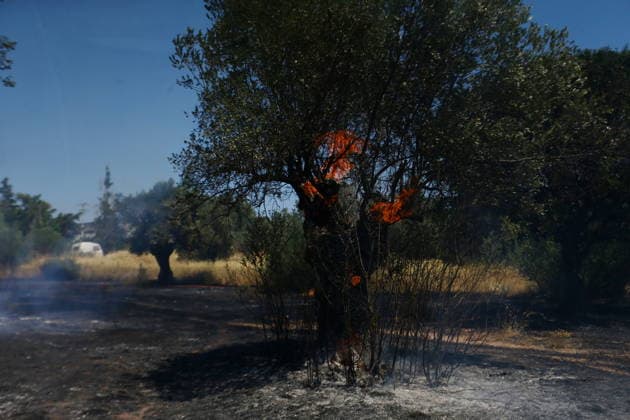 August 5, 2026, Koropi, Greece: Firefighters battle a wildfire in the Koropi area, southeast of Athens, as helicopters carry out repeated water drops to contain the flames. Ground crews worked alongside aerial firefighting units to prevent the fire from spreading amid dry conditions and strong winds. Koropi Greece  - ZUMAv62_ 20260805_zaf_v62_018 Copyright: xAristidisxVafeiadakisx