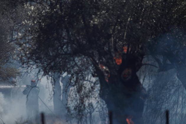 August 5, 2026, Koropi, Greece: Firefighters battle a wildfire in the Koropi area, southeast of Athens, as helicopters carry out repeated water drops to contain the flames. Ground crews worked alongside aerial firefighting units to prevent the fire from spreading amid dry conditions and strong winds. Koropi Greece - ZUMAv62_ 20260805_zaf_v62_061 Copyright: xAristidisxVafeiadakisx