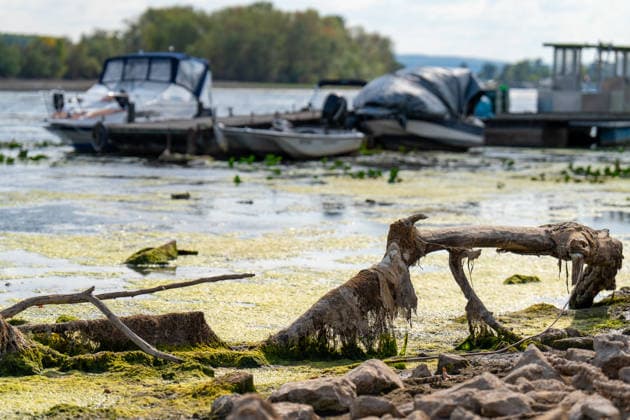 Niedrigwasser am Rhein bei Oestrich-Winkel Der Pegel des Rheins erreicht einen historischen Tiefstand. Nachdem der Pegel Kaub in den vergangenen 24 Stunden erneut um acht Zentimeter gefallen war, erreichte er am Mittwochnachmittag, 05.08.2026, erstmalig den Stand von 18 cm. Kurzzeitig wurden sogar 17 cm Pegelstand erreicht. Bereits seit Wochen ist die Schifffahrt durch den Wassermangel erheblich behindert. Der heutige Tiefstand dürfte die Situation noch verschärfen. Oestrich-Winkel Hessen Deutschland