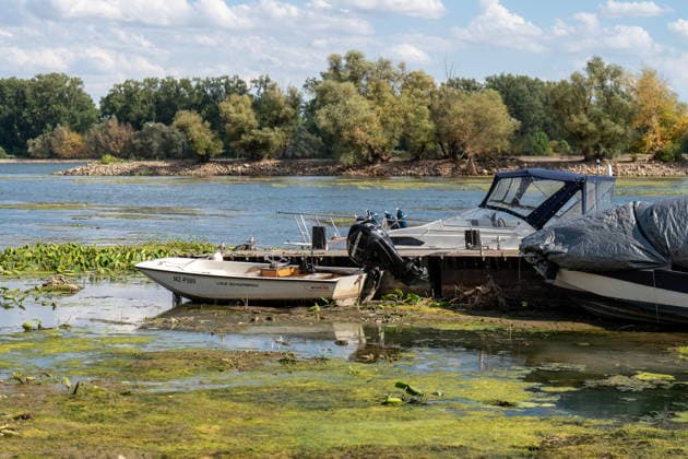Niedrigwasser am Rhein bei Oestrich-Winkel Der Pegel des Rheins erreicht einen historischen Tiefstand. Nachdem der Pegel Kaub in den vergangenen 24 Stunden erneut um acht Zentimeter gefallen war, erreichte er am Mittwochnachmittag, 05.08.2026, erstmalig den Stand von 18 cm. Kurzzeitig wurden sogar 17 cm Pegelstand erreicht. Bereits seit Wochen ist die Schifffahrt durch den Wassermangel erheblich behindert. Der heutige Tiefstand dürfte die Situation noch verschärfen. Oestrich-Winkel Hessen Deutschland