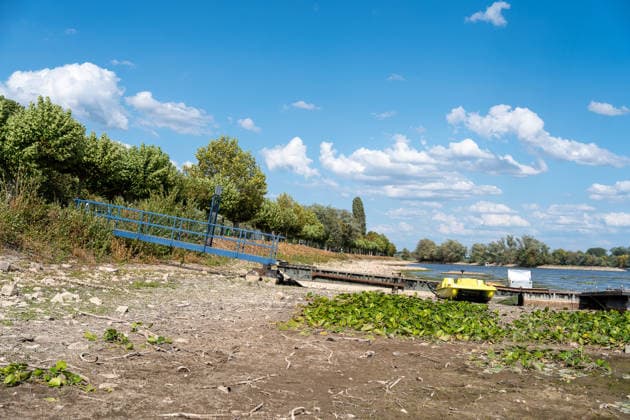 Niedrigwasser am Rhein bei Oestrich-Winkel Der Pegel des Rheins erreicht einen historischen Tiefstand. Nachdem der Pegel Kaub in den vergangenen 24 Stunden erneut um acht Zentimeter gefallen war, erreichte er am Mittwochnachmittag, 05.08.2026, erstmalig den Stand von 18 cm. Kurzzeitig wurden sogar 17 cm Pegelstand erreicht. Bereits seit Wochen ist die Schifffahrt durch den Wassermangel erheblich behindert. Der heutige Tiefstand dürfte die Situation noch verschärfen. Oestrich-Winkel Hessen Deutschland