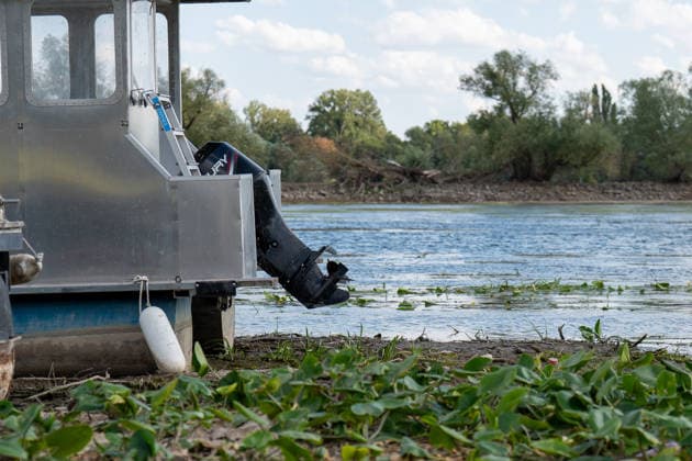 Niedrigwasser am Rhein bei Oestrich-Winkel Der Pegel des Rheins erreicht einen historischen Tiefstand. Nachdem der Pegel Kaub in den vergangenen 24 Stunden erneut um acht Zentimeter gefallen war, erreichte er am Mittwochnachmittag, 05.08.2026, erstmalig den Stand von 18 cm. Kurzzeitig wurden sogar 17 cm Pegelstand erreicht. Bereits seit Wochen ist die Schifffahrt durch den Wassermangel erheblich behindert. Der heutige Tiefstand dürfte die Situation noch verschärfen. Oestrich-Winkel Hessen Deutschland