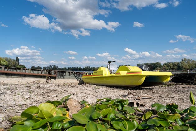 Niedrigwasser am Rhein bei Oestrich-Winkel Der Pegel des Rheins erreicht einen historischen Tiefstand. Nachdem der Pegel Kaub in den vergangenen 24 Stunden erneut um acht Zentimeter gefallen war, erreichte er am Mittwochnachmittag, 05.08.2026, erstmalig den Stand von 18 cm. Kurzzeitig wurden sogar 17 cm Pegelstand erreicht. Bereits seit Wochen ist die Schifffahrt durch den Wassermangel erheblich behindert. Der heutige Tiefstand dürfte die Situation noch verschärfen. Oestrich-Winkel Hessen Deutschland