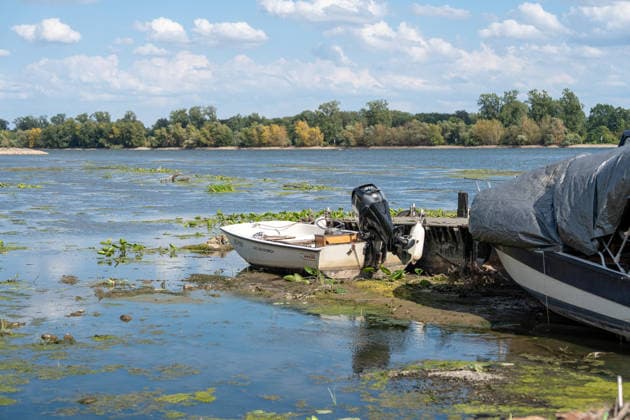 Niedrigwasser am Rhein bei Oestrich-Winkel Der Pegel des Rheins erreicht einen historischen Tiefstand. Nachdem der Pegel Kaub in den vergangenen 24 Stunden erneut um acht Zentimeter gefallen war, erreichte er am Mittwochnachmittag, 05.08.2026, erstmalig den Stand von 18 cm. Kurzzeitig wurden sogar 17 cm Pegelstand erreicht. Bereits seit Wochen ist die Schifffahrt durch den Wassermangel erheblich behindert. Der heutige Tiefstand dürfte die Situation noch verschärfen. Oestrich-Winkel Hessen Deutschland
