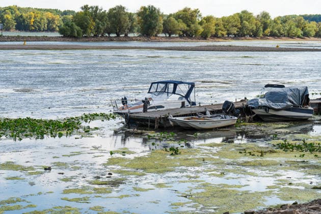 Niedrigwasser am Rhein bei Oestrich-Winkel Der Pegel des Rheins erreicht einen historischen Tiefstand. Nachdem der Pegel Kaub in den vergangenen 24 Stunden erneut um acht Zentimeter gefallen war, erreichte er am Mittwochnachmittag, 05.08.2026, erstmalig den Stand von 18 cm. Kurzzeitig wurden sogar 17 cm Pegelstand erreicht. Bereits seit Wochen ist die Schifffahrt durch den Wassermangel erheblich behindert. Der heutige Tiefstand dürfte die Situation noch verschärfen. Oestrich-Winkel Hessen Deutschland