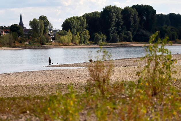 Der Rheinpegel ist in Köln und Bonn auf einem Rekordtief. Viele Rheinwiesen sind verdorrt und versteppt und der sonst so stolze Fluss hat sich tief in sein Bett zurückgezogen, gibt den Blick auf trockene Ufer frei. Der Pegel lag am Wochenende mit 67 cm so tief wie noch nie seit der Messung. (Themenbild, Symbolbild) Köln, 05.08.2026 NRW Deutschland Copyright: xChristophxHardtx