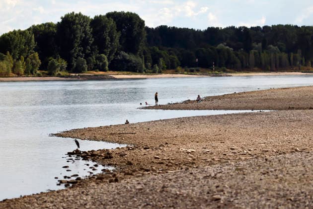 Der Rheinpegel ist in Köln und Bonn auf einem Rekordtief. Viele Rheinwiesen sind verdorrt und versteppt und der sonst so stolze Fluss hat sich tief in sein Bett zurückgezogen, gibt den Blick auf trockene Ufer frei. Der Pegel lag am Wochenende mit 67 cm so tief wie noch nie seit der Messung. (Themenbild, Symbolbild) Köln, 05.08.2026 NRW Deutschland Copyright: xChristophxHardtx