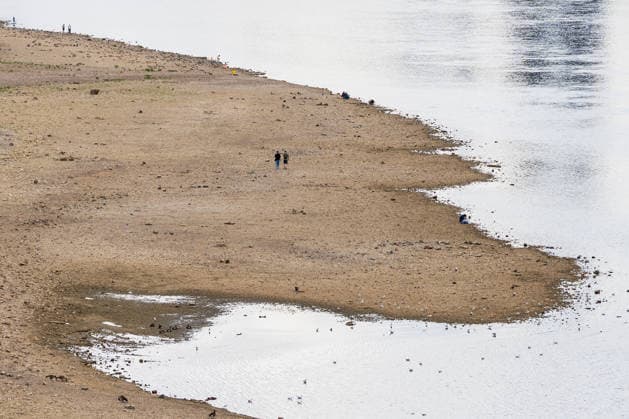 Ausgetrocknetes Rheinbett bei Rekord-Niedrigwasser vor dem Kölner Dom Blick von der Zoobrücke in Köln auf das ausgetrocknete Flussbett des Rheins. Mit einem Pegelstand von 69 cm am Pegel Köln erreicht das Niedrigwasser den bisherigen historischen Tiefstwert vom 23. Oktober 2018 ein neuer Rekord rückt in greifbare Nähe. Köln Zoobrücke Nordrhein-Westfalen Deutschland Copyright: xMarcxJohnx