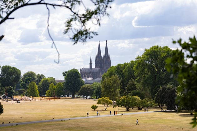 Vertrocknete Wiesen im Rheinpark vor dem Kölner Dom Blick vom Rheinpark in Köln-Deutz auf den Kölner Dom: Anhaltende Hitze und Trockenheit lassen die Wiesen des 1957 zur Bundesgartenschau angelegten Parks vertrocknen, Spaziergänger nutzen die Grünanlage dennoch für einen Ausflug. Köln Rheinpark Nordrhein-Westfalen Deutschland Copyright: xMarcxJohnx