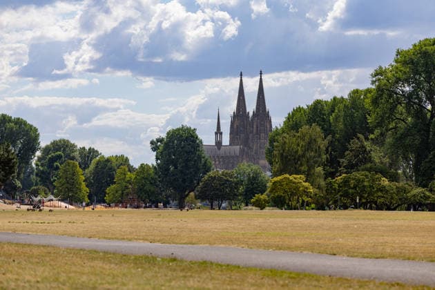 Vertrocknete Wiesen im Rheinpark vor dem Kölner Dom Blick vom Rheinpark in Köln-Deutz auf den Kölner Dom: Anhaltende Hitze und Trockenheit lassen die Wiesen des 1957 zur Bundesgartenschau angelegten Parks vertrocknen, Spaziergänger nutzen die Grünanlage dennoch für einen Ausflug. Köln Rheinpark Nordrhein-Westfalen Deutschland Copyright: xMarcxJohnx
