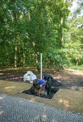 Nach der Attacke auf den Berliner Christopher Street Day (CSD) wird am Donnerstag (06.08.2026) im Tiergarten ein neuer Baum am Anschlagsort gepflanzt. Ein franzoesischer Ahorn ersetzt den Baum, der infolge des Anschlags gefaellt wurde. Der Baum soll ein schuetzendes Metallgitter erhalten, an dem Karten, Fotos, Blumen und persoenliche Botschaften angebracht werden koennen. Neben dem Baum stellt das Bezirksamt eine Bank in den Farben des Regenbogens auf. Diese soll zum Innehalten, Verweilen und zur stillen Anteilnahme einladen und Solidaritaet mit der queeren Community zum Ausdruck bringen. (Siehe epd-Meldung vom 06.08.2026) EDITORIAL USE ONLY