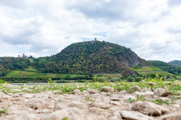 Historisches Niedrigwasser: Pegel Oberwinter fällt auf 1 cm Blick von Bonn-Mehlem auf den Drachenfels und Drachenburg im Siebengebirge: Im Vordergrund liegt das weitgehend ausgetrocknete Flussbett des Rheins bei historischem Niedrigwasser der Pegel Oberwinter fällt auf nur noch 1 cm, der Pegel Bonn liegt bei 76 cm. Anhaltende Trockenheit lässt den Rhein weiter sinken, die Rheinschifffahrt ist stark eingeschränkt. Bonn Mehlem Nordrhein-Westfalen Deutschland Copyright: xMarcxJohnx